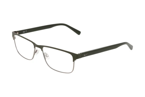 Glasses Nike NIKE 1002 315