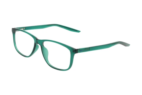Glasses Nike NIKE 5019 322