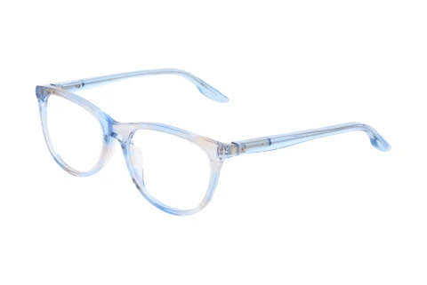 Glasses Nike NIKE 5070 455