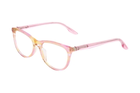 Glasses Nike NIKE 5070 671