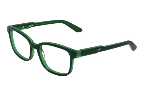 Glasses Nike NIKE 5073 323