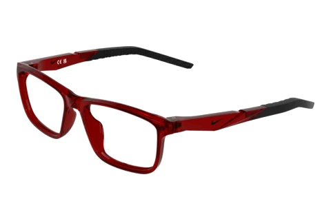 Glasses Nike NIKE 5104 607