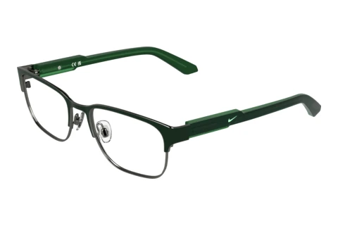Glasses Nike NIKE 5402 309