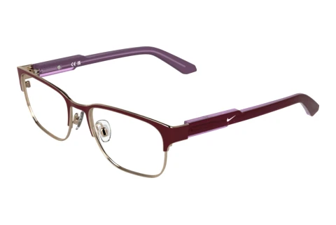 Glasses Nike NIKE 5402 605