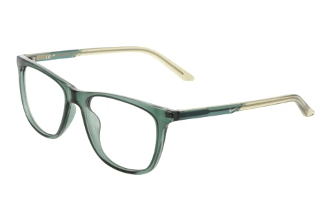 Glasses Nike NIKE 7132 301
