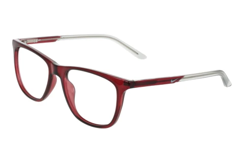 Glasses Nike NIKE 7132 601