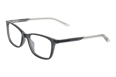 Glasses Nike NIKE 7133 033