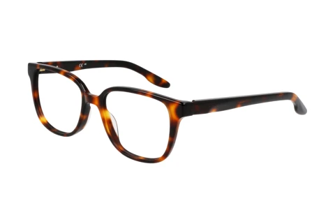 Glasses Nike NIKE 7172 N 239