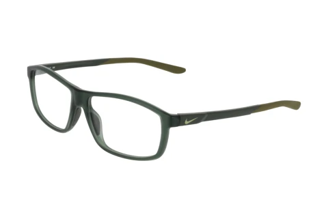 Glasses Nike NIKE 7291 N 302
