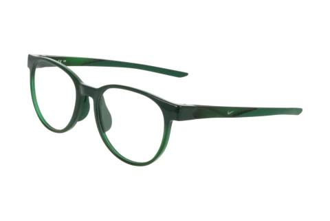 Glasses Nike NIKE 7407 309