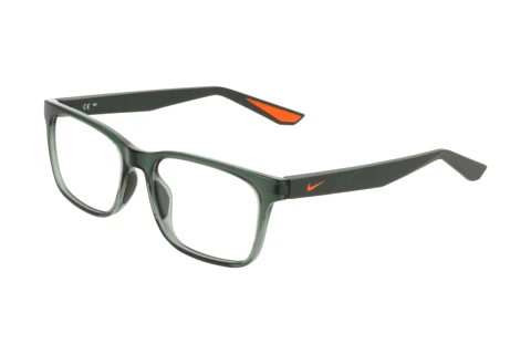 Glasses Nike NIKE 7415 302
