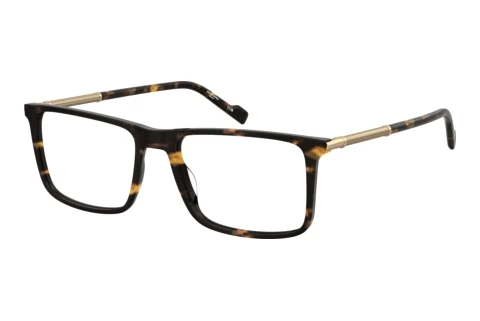 Glasses Pierre Cardin P.C. 6291 086