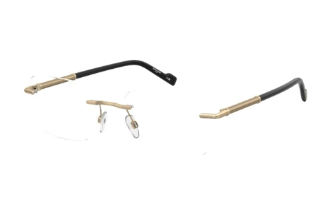 Glasses Pierre Cardin P.C. 6919 J5G