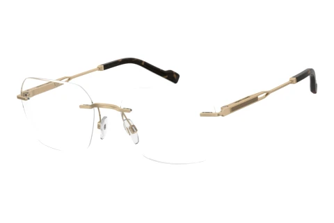 Glasses Pierre Cardin P.C. 6921 J5G