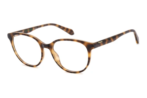 Glasses Polaroid PLD D624 086