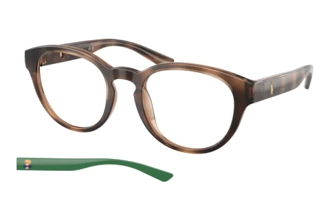 Glasses Polo PH2293U 6070