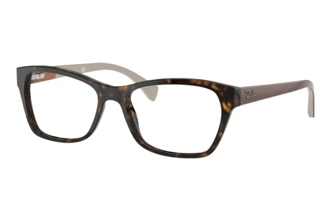 Glasses Ray-Ban RX5298 5549
