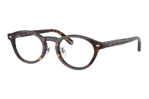 Glasses Ray-Ban RX5457D 2012