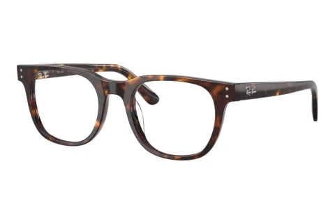 Glasses Ray-Ban RX5461D 2012