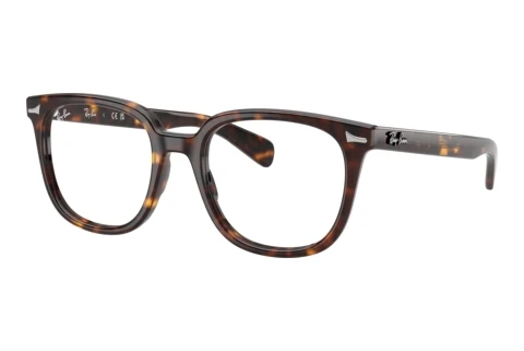 Glasses Ray-Ban BRUNEL II (RX5535 2012)