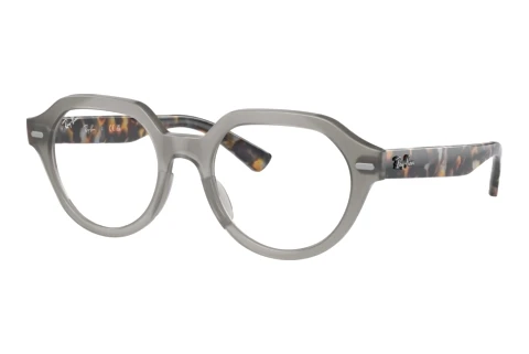 Glasses Ray-Ban GINA (RX7214 8259)