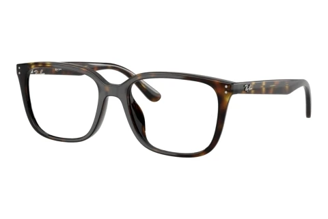Glasses Ray-Ban RX7248D 2012