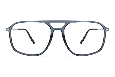 Glasses Silhouette Illusion Lite (2969 4610)