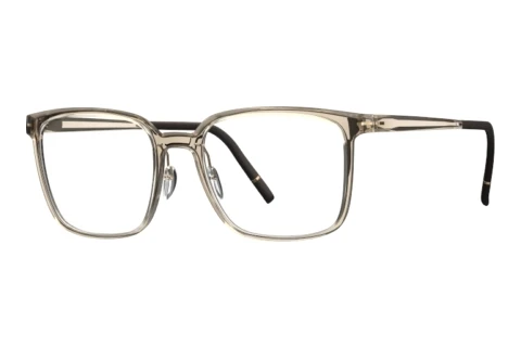 Glasses Silhouette Clear Sky (2973 8530)