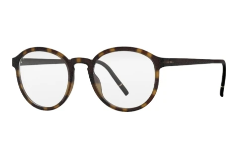 Glasses Silhouette Clear Sky (2982 6130)
