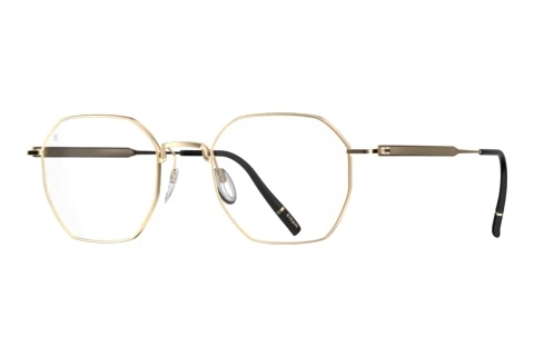 Glasses Silhouette Pure Visionary (5588 7530)