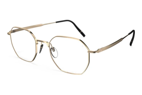 Glasses Silhouette Pure Visionary (5588 7531)