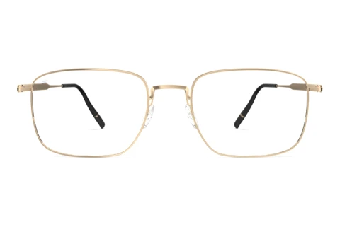 Glasses Silhouette Pure Visionary (5591 7632)