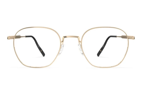Glasses Silhouette Pure Visionary (5592 7631)