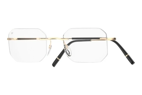Glasses Silhouette Titan Minimal Art Stellar (5599-QL 7530)