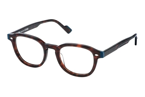 Glasses Sting UST548 C10P