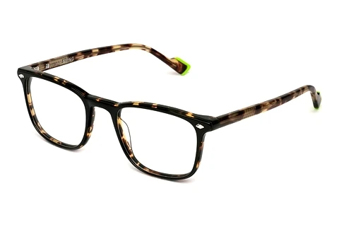 Glasses Sting VST524 0U64