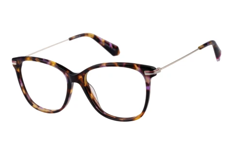 Glasses Superdry SD 991065 65