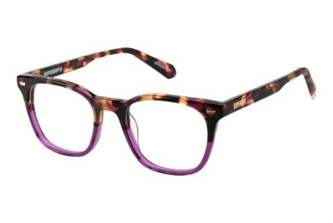 Glasses Superdry SD 993101 65
