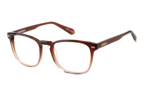 Glasses Superdry SD 993102 66