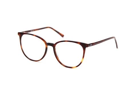 Glasses Sur Classics Giselle (12521 havana)