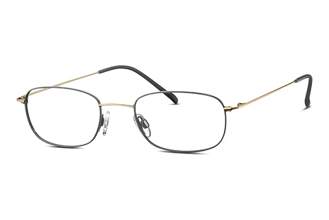 Glasses TITANFLEX EBT 820850 20