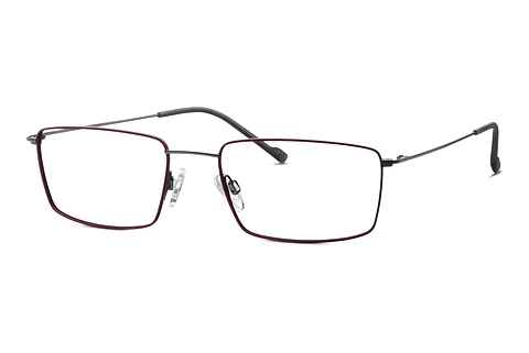 Glasses TITANFLEX EBT 820907 35