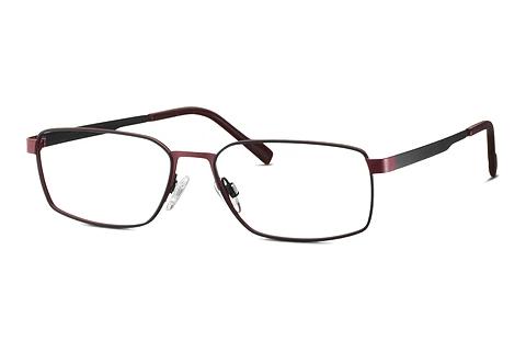 Glasses TITANFLEX EBT 820917 15