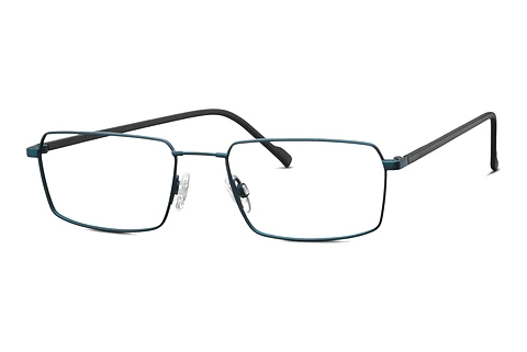 Glasses TITANFLEX EBT 820932 70