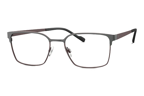 Glasses TITANFLEX EBT 820949 36