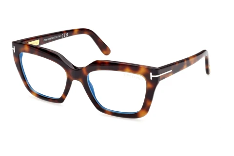 Glasses Tom Ford FT6093-B 053