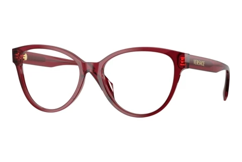 Glasses Versace VE3399U 388