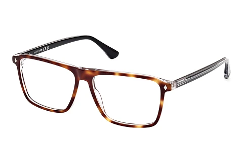 Glasses Web Eyewear WE5442 056