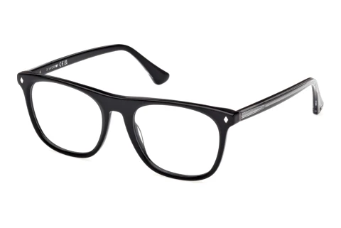 Glasses Web Eyewear WE5462 005