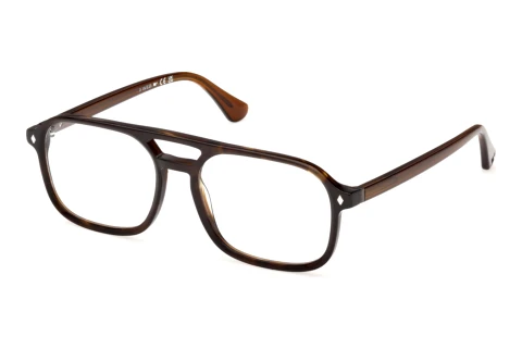 Glasses Web Eyewear WE5473 052
